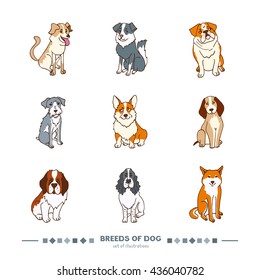 Breeds of dog set. Funny cartoon style color illustration. Vector isolated from white background. Saint Bernard, Shiba Inu, Welsh Corgi, Schnauzer. Different dogs sits.