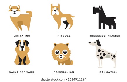 Breeds Of Dogs Collection, Akita Inu, Pitbull, Riesenschnauzer, Saint Bernard, Pomeranian, Dalmatian Vector Illustration