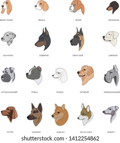 Breeds of dogs drawn in minimal style set. Vector illustration