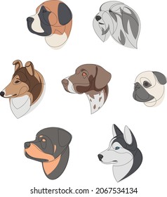 Razas de perros dibujadas en un conjunto de estilo mínimo. Juego de retratos de un perro de una línea. St. Bernard, Old English Sheepdog, Rough Collie, German Shorthal, Pug, Rottweiler, Siberian Husky. Ilustración vectorial.