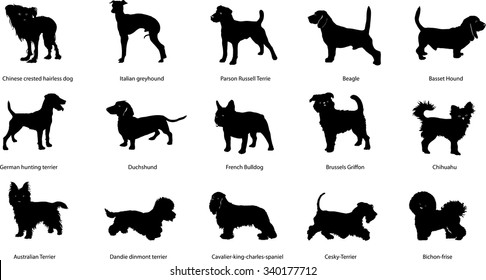 Breeds of dogs, illustrations, silhouettes, different breeds of dogs, Chinese crested hairless dog, Italian greyhound, Parson Russell Terrie, Beagle, Basset Hound, German hunting terrier, Duchshund 