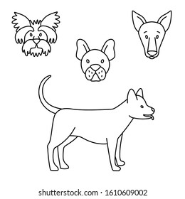 Breeds of dogs set black and white. Vector illustration doodles, set of pet shop goods in thin line art sketch style