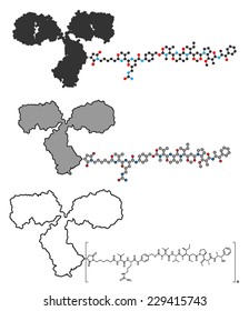 Brentuximab vedotin antibody-drug conjugate molecule. Consists of monoclonal antibody conjugated to 3-5 molecules of monomethyl auristatin E. Conventional skeletal formula and stylized representations