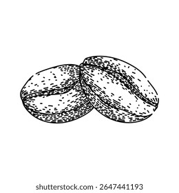 brew cofeee bean hand drawn. roast grind, latte mocha, cappuccino decaf brew cofeee bean vector sketch. isolated black illustration