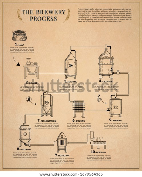 Brewery Infographic Illustration Brewery Process Stock Vector Royalty Free 1679564365