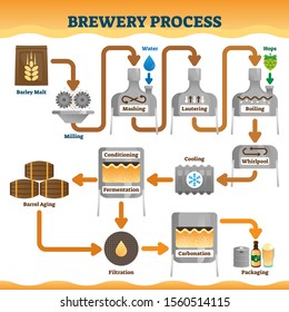 Brewery process vector illustration. Labeled beer or ale making process scheme. Educational explanation with mashing, lautering, boiling, fermentation and filtration diagram. Hops craft drink culture.