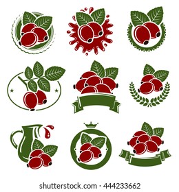 Briar labels and elements set. Vector