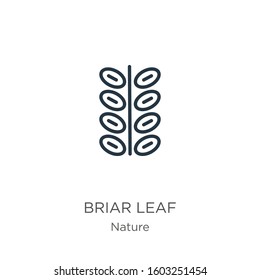 Briar leaf icon. Thin linear briar leaf outline icon isolated on white background from nature collection. Line vector sign, symbol for web and mobile