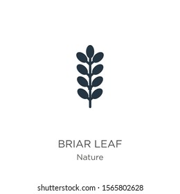 Briar leaf icon vector. Trendy flat briar leaf icon from nature collection isolated on white background. Vector illustration can be used for web and mobile graphic design, logo, eps10
