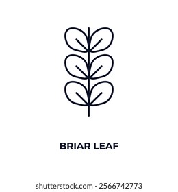 briar leaf outline icon. Linear vector from nature concept. Thin line briar leaf icon isolated on white background