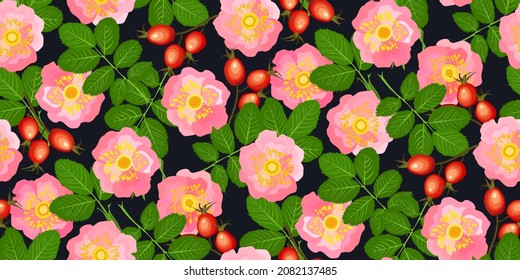 Briar rose patrón sin fisuras. Flores rosas caderas, hojas, bayas rojas maduras sobre negro. Té de cadera rosa. Planta natural de diseño, publicidad, productos de envasado, textiles, tapicería. Ilustración del vector