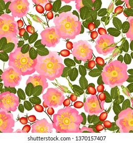 Briar seamless pattern on white background. Vector illustration of  hip rose flowers, leaves, buds and berries.