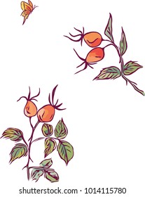 Briar vector illustration. Healthy organic food