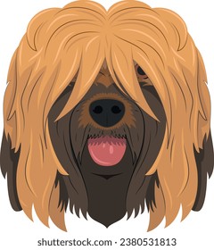 Briard or Brie Shepherd dog isolated on white background vector illustration