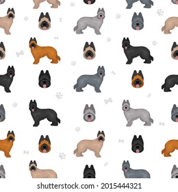 Briard clipart. Different coat colors and poses set.  Vector illustration