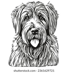 Briard dog hand drawn logo drawing black and white line art pets illustration realistic breed pet