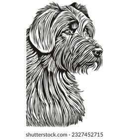 Briard dog realistic pencil drawing in vector, line art illustration of dog face black and white sketch drawing