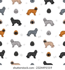 Briard dog seamless pattern. All coat colors set.  Different position. All dog breeds characteristics infographic. Vector illustration