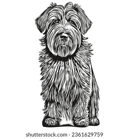 Briard dog t shirt print black and white, cute funny outline drawing vector sketch drawing