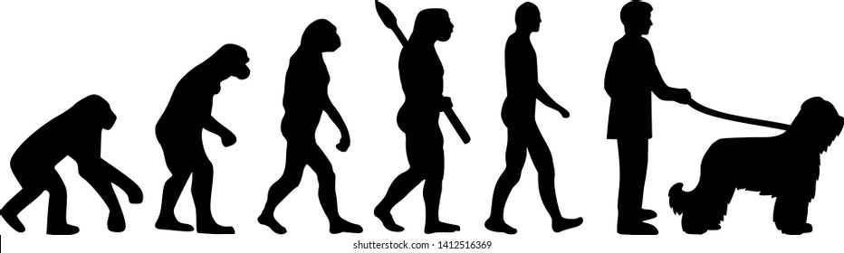 Briard evolution with dog silhouette