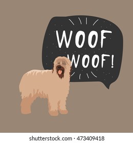 Briard french dog colorful hand drawn illustration with banner woof-woof