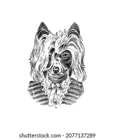 Briard or Herding dog dressed up in Suit. Fashion Animal character in clothes. Hand drawn sketch. Vector engraved illustration for label, logo and T-shirts or tattoo.