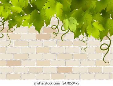 brick vintage background with vine. vector illustration
