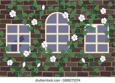 una pared de ladrillo recubierta de plantas, ventanas, en una de las ventanas una silueta de gato