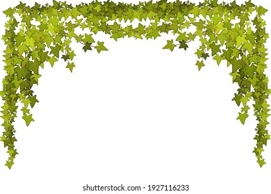 205,458 Ivy leaves Images, Stock Photos & Vectors | Shutterstock