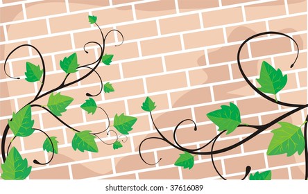 Brick wall twined with ivy