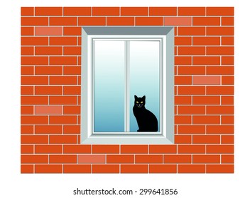 brick wall, window, cat