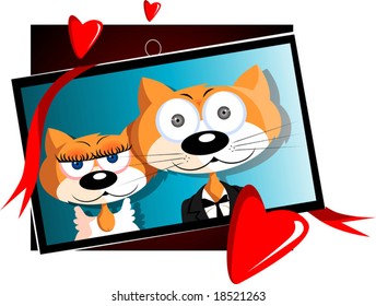bride and bridegroom cats	