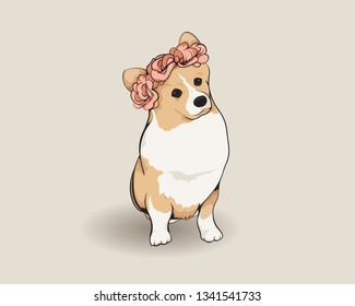 Bridesmaids corgi dog wearing flower ring or roses ring. Isolated on background - vector