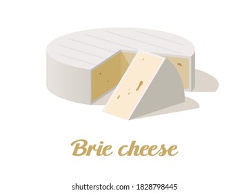 Brie cheese. Realistic cheese on white background. Vector illustration