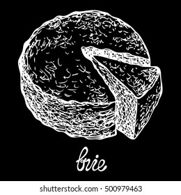 Brie cheese. Vector hand drawn graphic illustration. Chalkboard drawing.