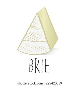 Brie cheese, vector illustration. 