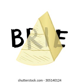 Brie cheese, vector illustration.