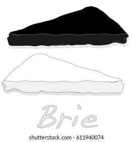 Brie cheese vector  isolated artwork