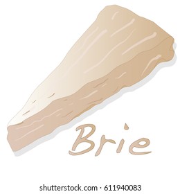Brie cheese vector  isolated artwork