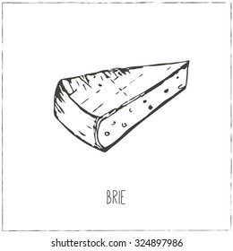 Brie. Collection of cheese. Cut sliced cheese assortment. Vector illustration  for design menus, recipes and packages product.
