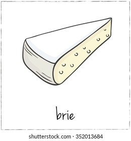 Brie. Collection of cheese. Vector illustration of for design menus, recipes and packages product.