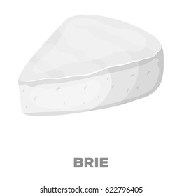 Brie.Different kinds of cheese single icon in black style vector symbol stock illustration web.