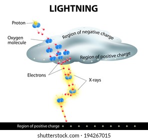 The brief life of lightning. Vector diagram