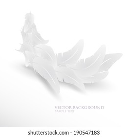 Bright abstract background with feathers and shadow