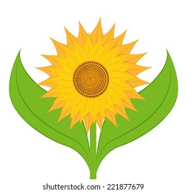 Bright abstract sunflower with green leaves, vector illustration