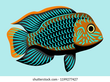 Bright aquarium fish