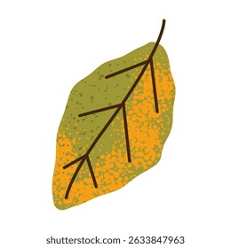 Bright autumn alder leaf vector Illustration on a white background	

