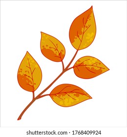 bright autumn birch leaves vector illustration isolated on white background