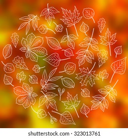 Bright  autumn design: circle made of white leaves outlines on blurred orange background. Various trees leaves: linden, ash, oak, maple, chestnut, birch, elm, willow, aspen, rowan. 