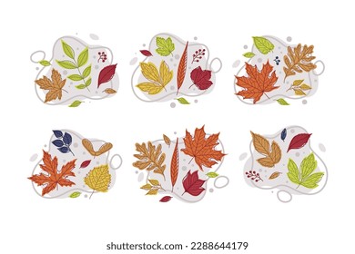Helle Herbstblätter mit verschiedenen Leaf-Farbvektorsets